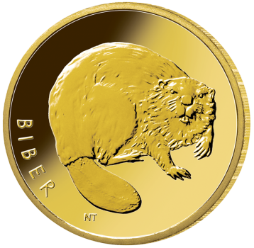 Deutschland 20 Euro Gold Gedenkmünze 2024 | Serie: Rückkehr der Wildtiere - Motiv: Biber