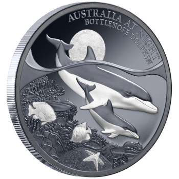 1 Unze Silbermünze Niue 2025 Polierte Platte in Black Proof | Serie: Australien bei Nacht - Motiv: Delfin - Bottenlose Dolphin | 12. Ausgabe *