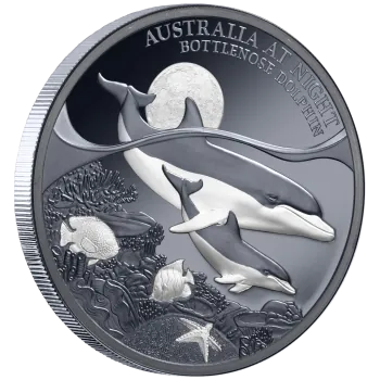 1 Unze Silbermünze Niue 2025 Polierte Platte in Black Proof | Serie: Australien bei Nacht - Motiv: Delfin - Bottenlose Dolphin | 12. Ausgabe *