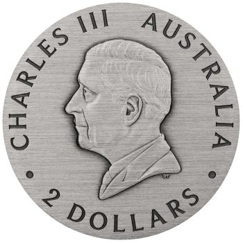 Silbermünze 2025 aus Australien mit farbigem Emu-Motiv im Antique Finish, 2 Unzen Feinsilber, Auslieferung in Etui mit Zertifikat, limitierte Auflage von 2.000 Stück.