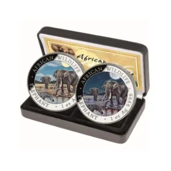 2 x 1 Unze Silbermünze Somalia 2026 – Elefant in Farbe, Day & Night Edition. Zwei Münzen zeigen den afrikanischen Elefanten bei Tag und Nacht, jeweils einzeln gekapselt, geliefert im Set-Etui mit nummeriertem Echtheitszertifikat