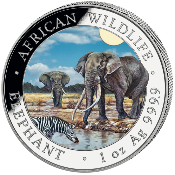 1-Unzen-Silbermünze Somalia 2026 mit farbigem Elefantenmotiv aus der African Wildlife Series. Hochdetailliertes Motiv, farbveredelte Gestaltung.“