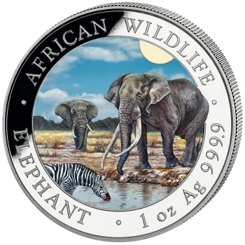 1-Unzen-Silbermünze Somalia 2026 mit farbigem Elefantenmotiv aus der African Wildlife Series. Hochdetailliertes Motiv, farbveredelte Gestaltung.“