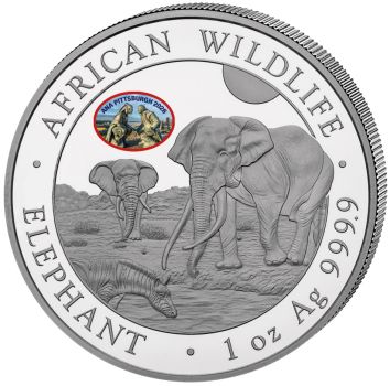 1 Unze Silbermünze Somalia 2026 aus 999,9 Feinsilber mit African Wildlife Elefant Motiv und ANA Pittsburgh Privy Mark in 3D-Farbveredelung. Lieferung in Münzkapsel, hochwertigem Münzetui und mit nummeriertem Echtheitszertifikat.