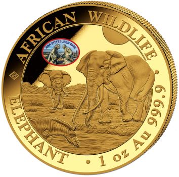 Unze Goldmünze Somalia 2026 Elefant mit Botanical Garden Privy Mark zur World Money Fair Berlin, geprägt in 999,9 Feingold, geliefert im Etui mit durchnummeriertem Zertifikat.