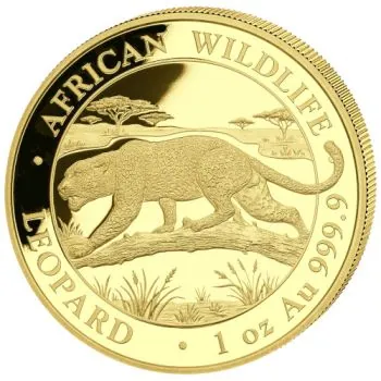 1 Unze Goldmünze Somalia 2026 aus der Serie African Wildlife mit dem Motiv eines Leoparden in einer afrikanischen Landschaft. Auf der Motivseite sind der Leopard und die Bezeichnung African Wildlife Leopard zu sehen. Die Gegenseite zeigt das Staatswappen
