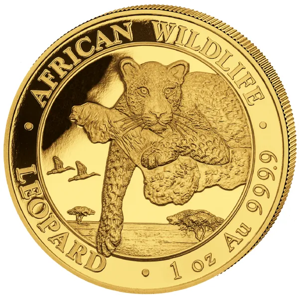 1 Unze Goldmünze Somalia 2020 | Serie: African Wildlife - Motiv: Leopard