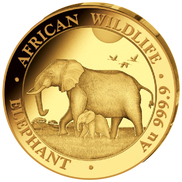 1/4 Unze Goldmünze Somalia 2022 - Elefant