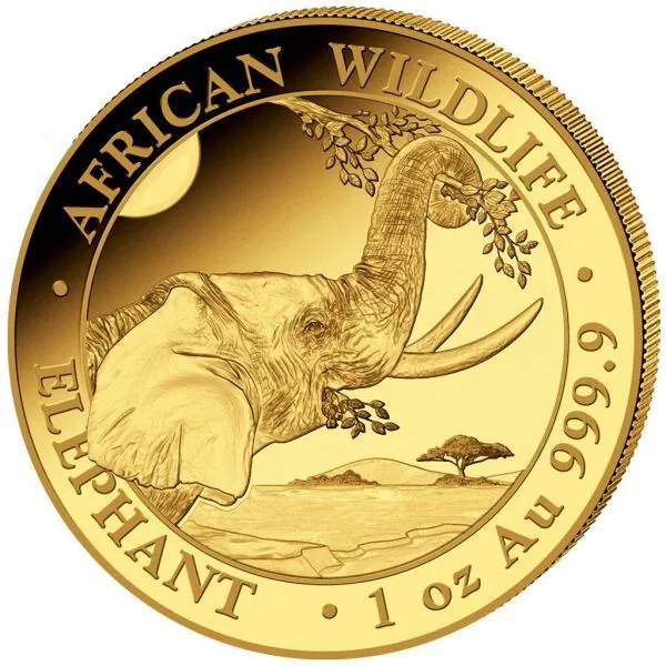1 Unze Goldmünze Somalia 2023 - Elefant