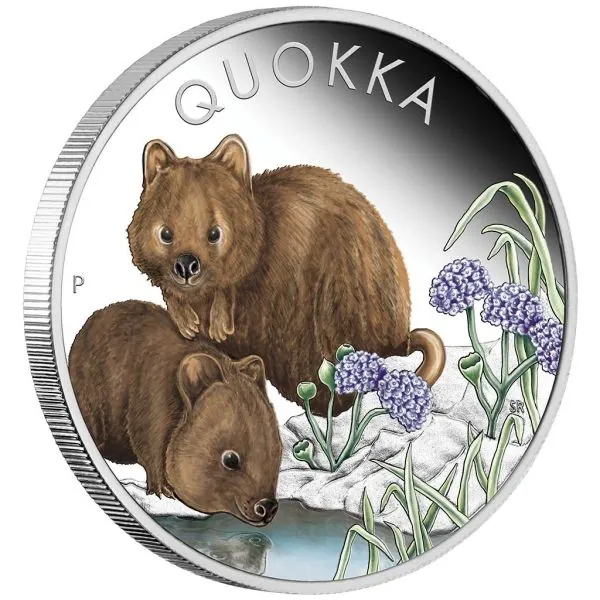 1 Unze Silbermünze Australien 2023 Polierte Platte in Farbe - Quokka