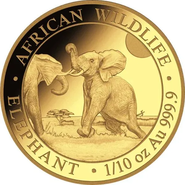 1/10 Unze Goldmünze Somalia 2024 - Elefant