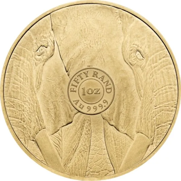 1 Unze Goldmünze Südafrika 2024 | Serie: Big Five - Motiv: Elefant