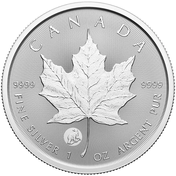 1 Unze Silbermünze Kanada 2024 im Blister - Maple Leaf | Treasured Silver Maple Leaf First Strikes - Privy Mark: Polar Bear ( Premium Bullion )