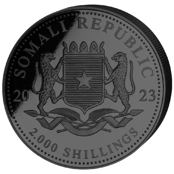 1 Kilo Silbermünze Somalia 2023 Black Premium Edition mit Platin veredelt | Serie: African Wildlife - Motiv: Leopard