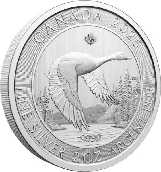 Kanada 10 Dollars | 2 Unze Silbermünze 2025 | Motiv: Kanada Gans ( Canada Goose )