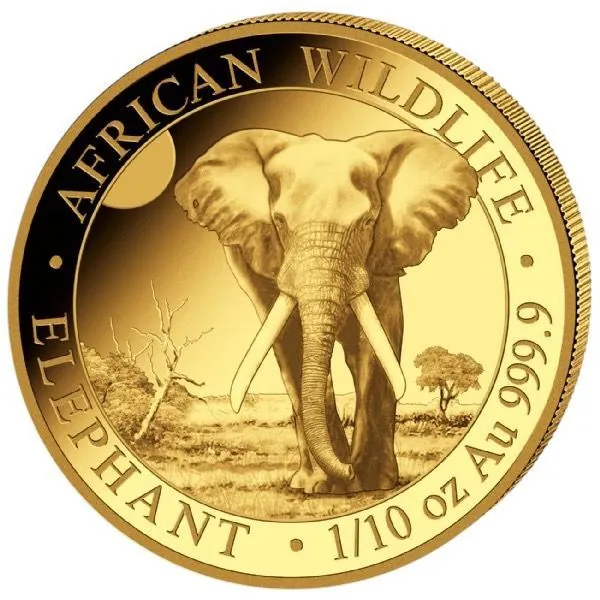 1/10 Unze Goldmünze Somalia 2025 - Elefant