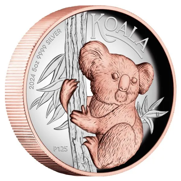 5 Unze Silbermünze Australien 2024 - Koala HIGH RELIEF mit Roségold veredelt in Polierte Platte *