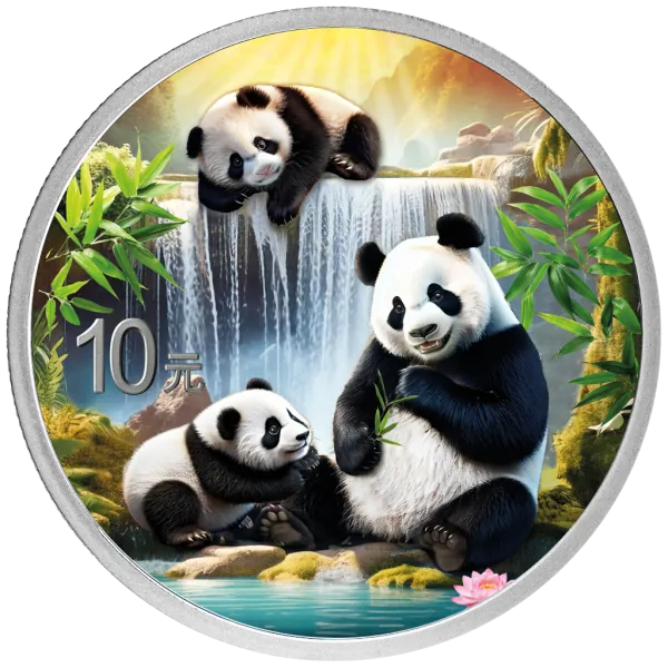 2 x 30 Gramm Silbermünzen China 2025 - Panda SET Night & Day in Farbe inkl. Münzetui und Zertifikat | Variante 1