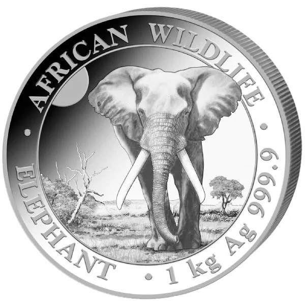 1 Kilo Silbermünze Somalia 2025 - Elefant