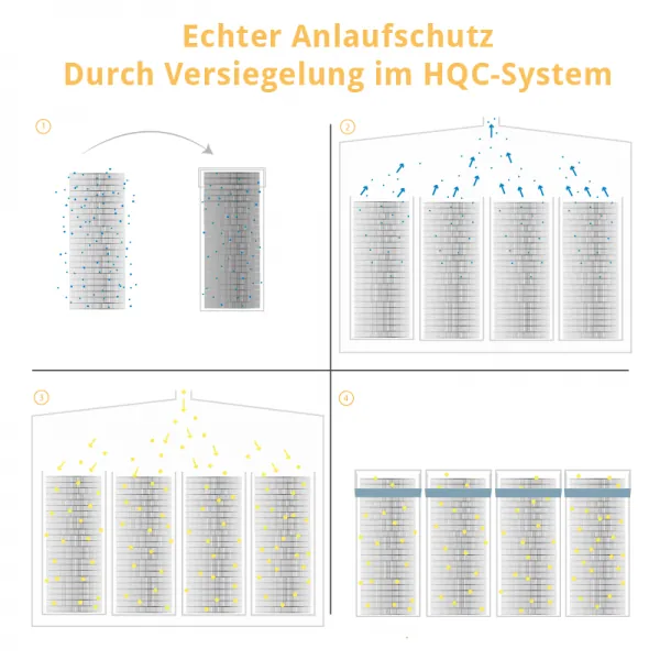 1 Unze Silbermünze Armenien 2025 - Arche Noah