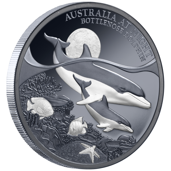 1 Unze Silbermünze Niue 2025 Polierte Platte in Black Proof | Serie: Australien bei Nacht - Motiv: Delfin - Bottenlose Dolphin | 12. Ausgabe *