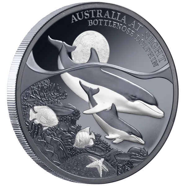 1 Unze Silbermünze Niue 2025 Polierte Platte in Black Proof | Serie: Australien bei Nacht - Motiv: Delfin - Bottenlose Dolphin | 12. Ausgabe *