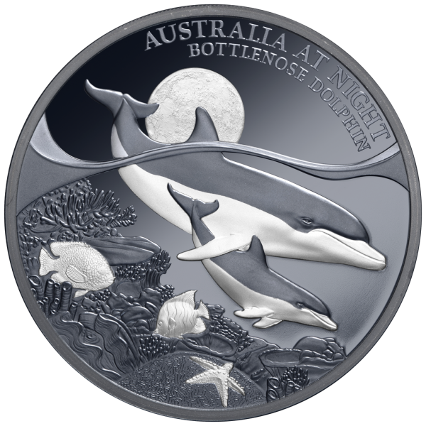 1 Unze Silbermünze Niue 2025 Polierte Platte in Black Proof | Serie: Australien bei Nacht - Motiv: Delfin - Bottenlose Dolphin | 12. Ausgabe *