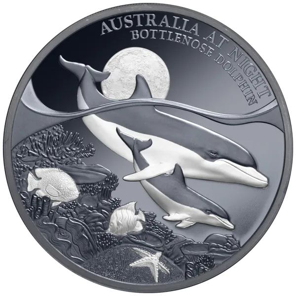 1 Unze Silbermünze Niue 2025 Polierte Platte in Black Proof | Serie: Australien bei Nacht - Motiv: Delfin - Bottenlose Dolphin | 12. Ausgabe *