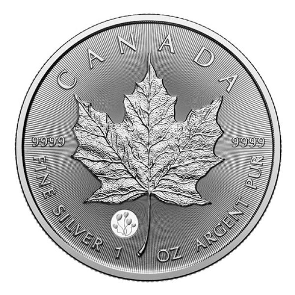 1 Unze Silbermünze Kanada 2026 Maple Leaf im Blister der Royal Canadian Mint, Vorderseite mit Porträt von König Charles III., Rückseite mit klassischem Ahornblatt und Privy-Mark ‚Celebration‘, geprägt in 999,9 Feinsilber mit Radiallinien und Micro-Engravi