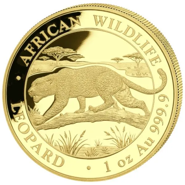 1 Unze Goldmünze Somalia 2026 aus der Serie African Wildlife mit dem Motiv eines Leoparden in einer afrikanischen Landschaft. Auf der Motivseite sind der Leopard und die Bezeichnung African Wildlife Leopard zu sehen. Die Gegenseite zeigt das Staatswappen