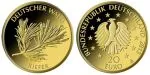 20 Euro Gold Gedenkmünze 2013 Deutscher Wald - Kiefer
