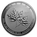 Unser Ankaufspreis für 10 Unze Silbermünze Kanada - Maple Leaf