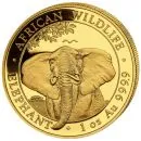 Unser Ankaufspreis für 1 Unze Goldmünze Somalia - Elefant