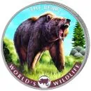 1 Unze Silbermünze Kongo 2022 in Farbe | Serie: World’s Wildlife - Motiv: BÄR ( The Bear )