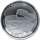 1 Unze Silbermünze Kongo 2022 | Serie: Africas Deadly Snakes - Motiv: Black Mamba | 1. Ausgabe