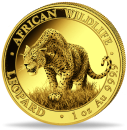 1 Unze Goldmünze Somalia 2023 | Serie: African Wildlife - Motiv: Leopard