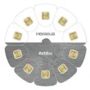 10 x 1 Gramm MultiDisc Goldbarren Heraeus im neuen Design