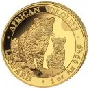 1 Unze Goldmünze Somalia 2024 | Serie: African Wildlife - Motiv: Leopard