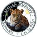 1 Unze Silbermünze Somalia 2025 | Serie: African Wildlife - Motiv: Leopard in Farbe