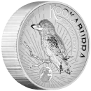 5 Unze Silbermünze Australien 2025 - Kookaburra Incused in HIGH RELIEF und Polierte Platte