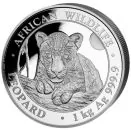 1 Kilo Silbermünze Somalia 2025 | Serie: African Wildlife, Motiv: Leopard