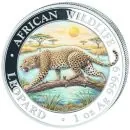 1 Unze Silbermünze Somalia 2026 aus der Serie African Wildlife mit farbig gestaltetem Leopardenmotiv. Der Leopard schreitet über einen Baumstamm. Die Münze trägt die Aufschriften African Wildlife, Leopard und 1 oz Ag 999.9. Auf der gegenüberliegenden Seit